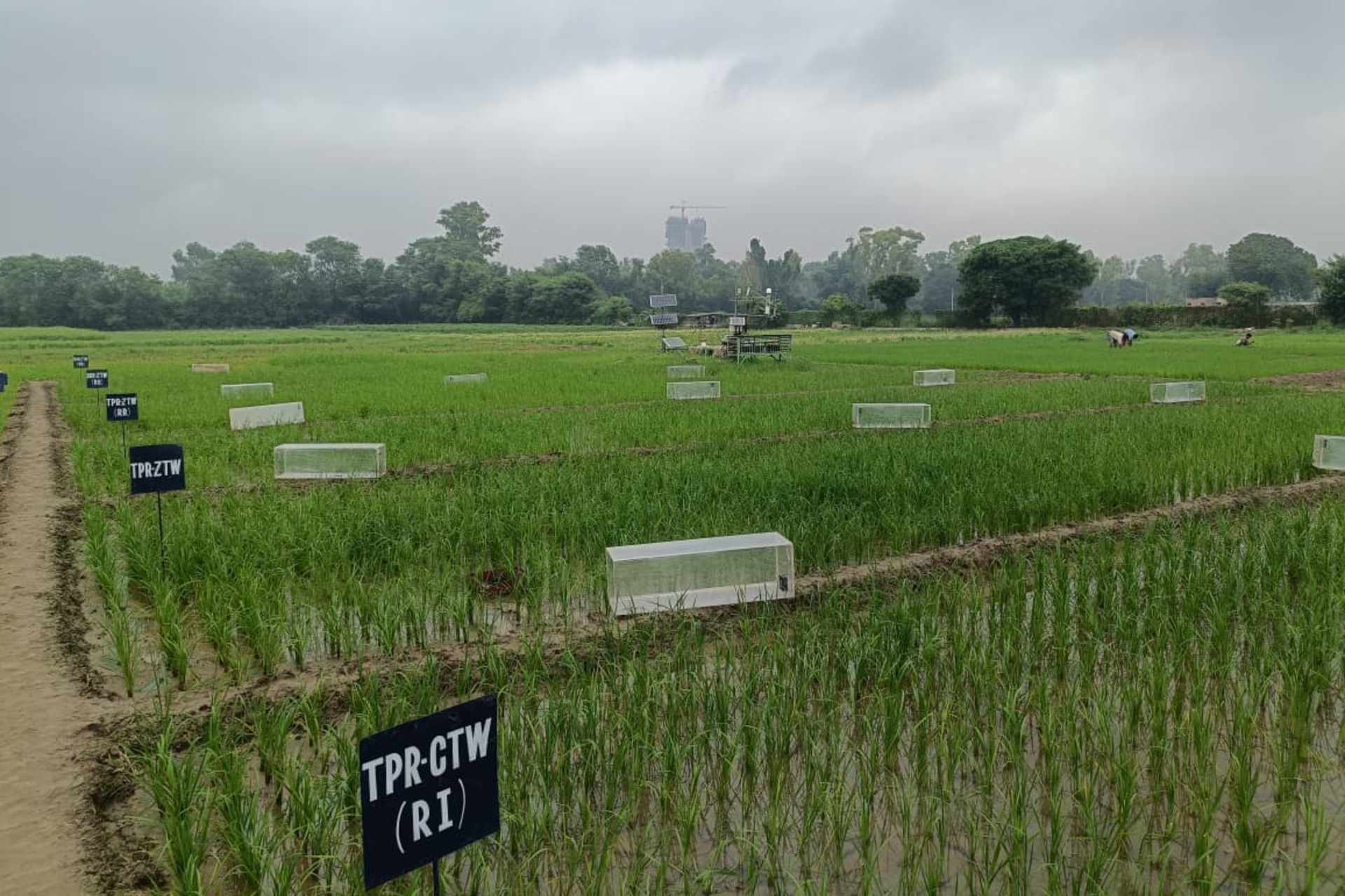 varaha-regenerative-agriculture-field-experiment-testing