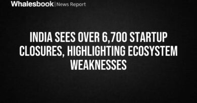 thumbnail_69b01a6c5b1fc118c08e9ba4_1773163420706