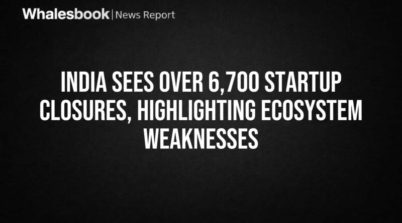 thumbnail_69b01a6c5b1fc118c08e9ba4_1773163420706