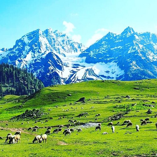 Kashmir’s Startup Summit Signals a New Dawn for Regional Innovation